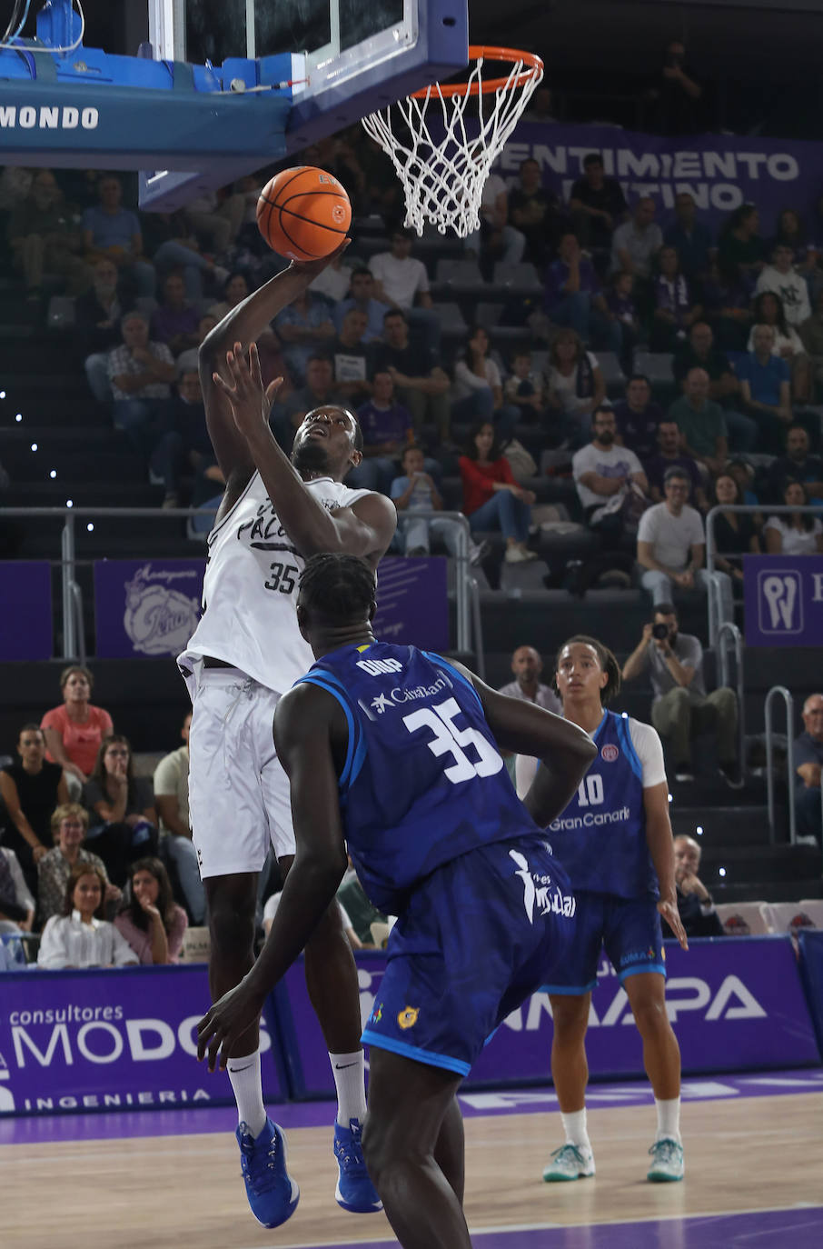 El Palencia Baloncesto arrasa al filial del Gran Canaria