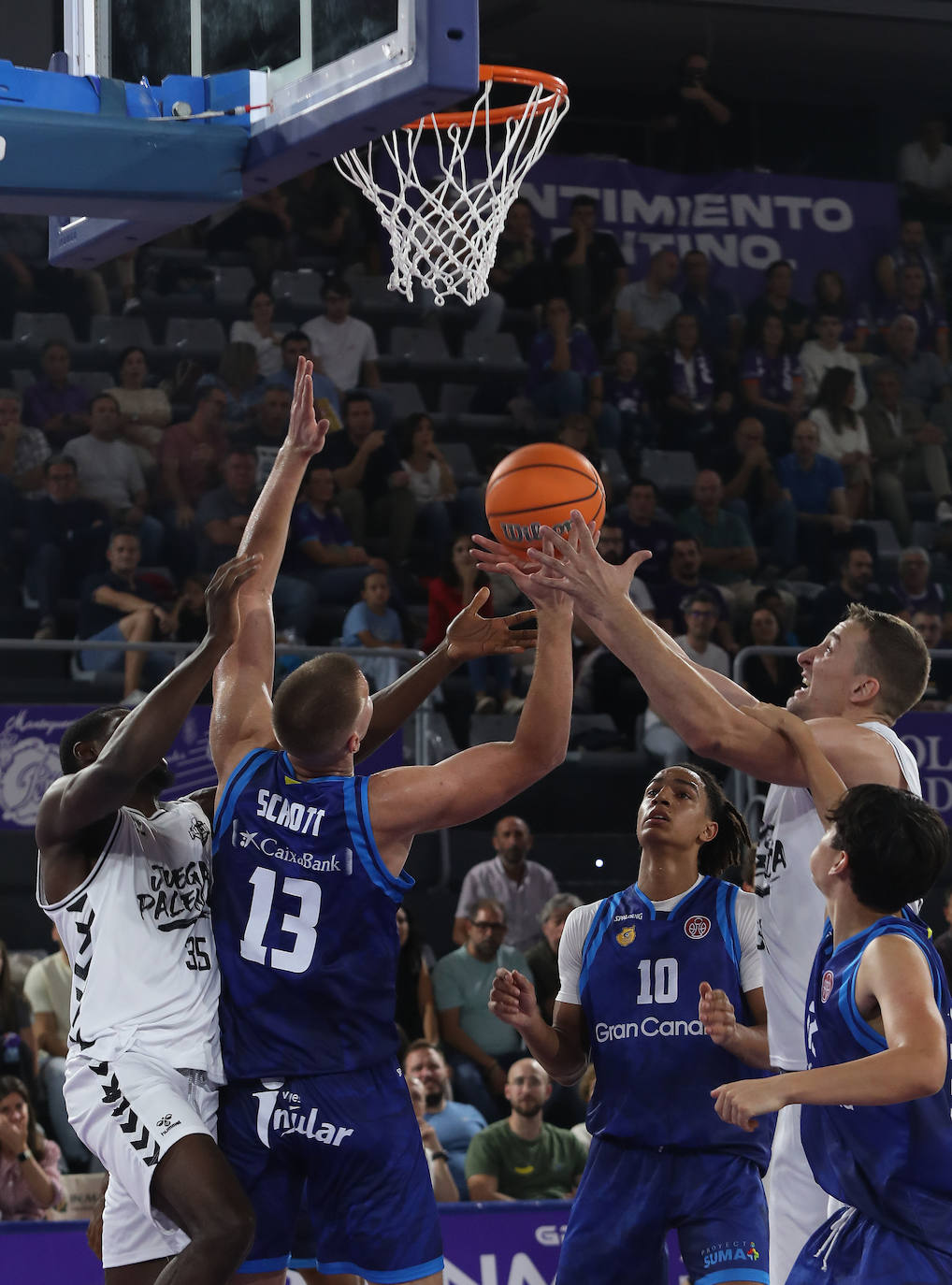 El Palencia Baloncesto arrasa al filial del Gran Canaria