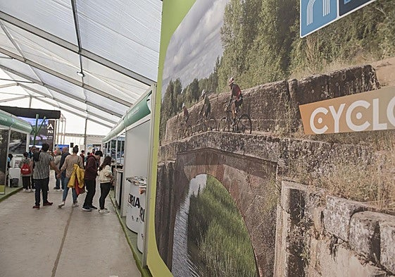 Feria Naturcyl en el Real Sitio de San Ildefonso