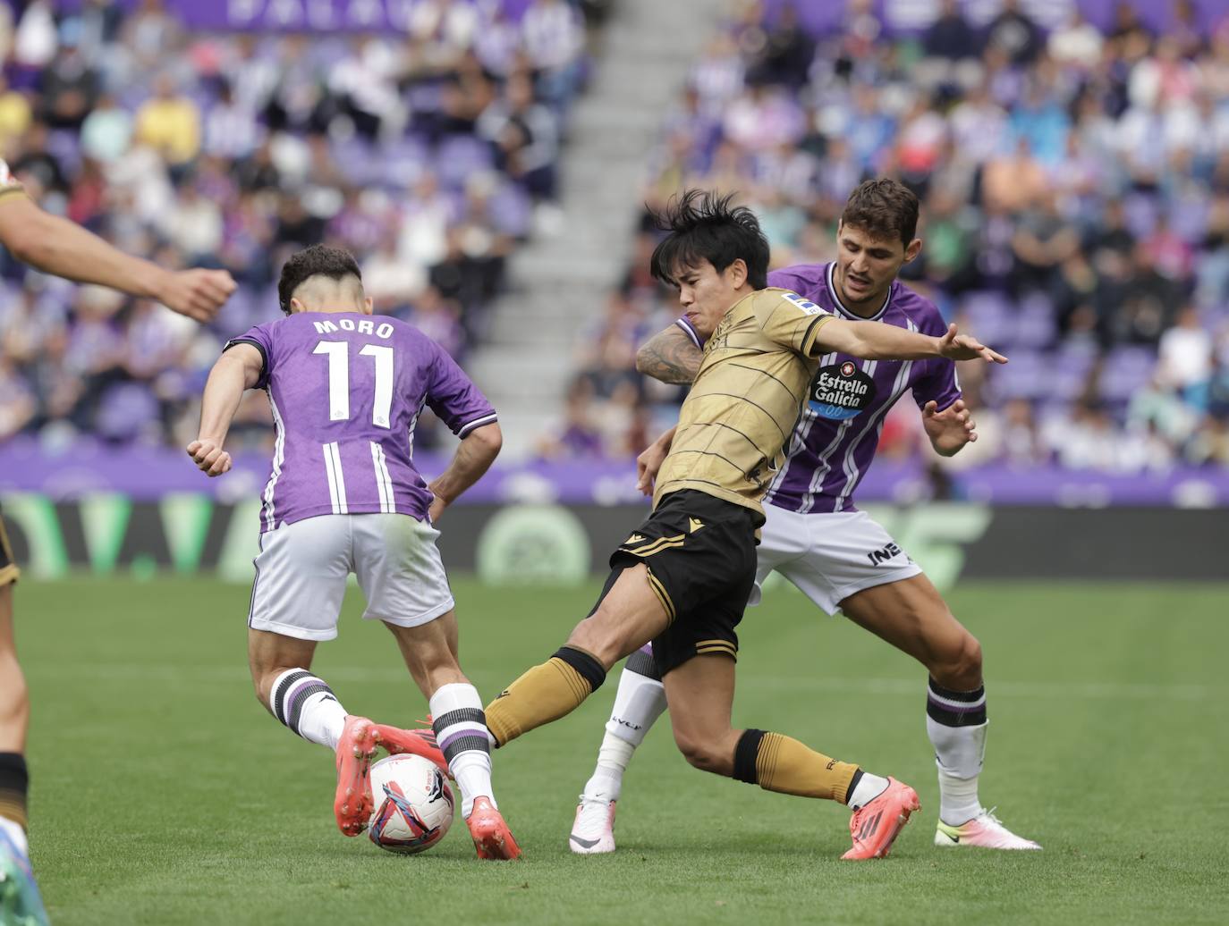 El empate en Zorrilla ante la Real Sociedad, en imágenes