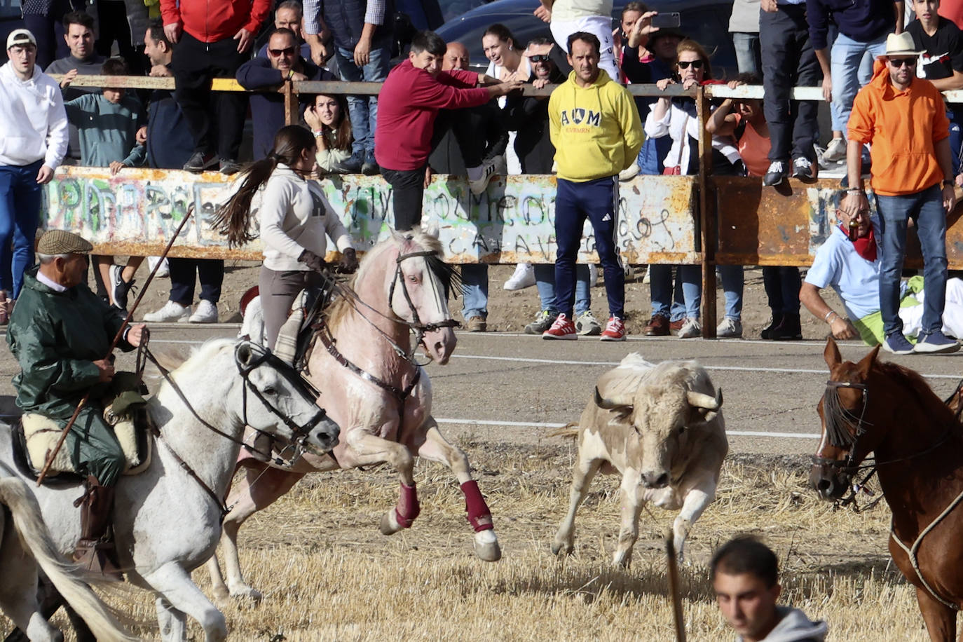 El encierro de Olmedo, en imágenes