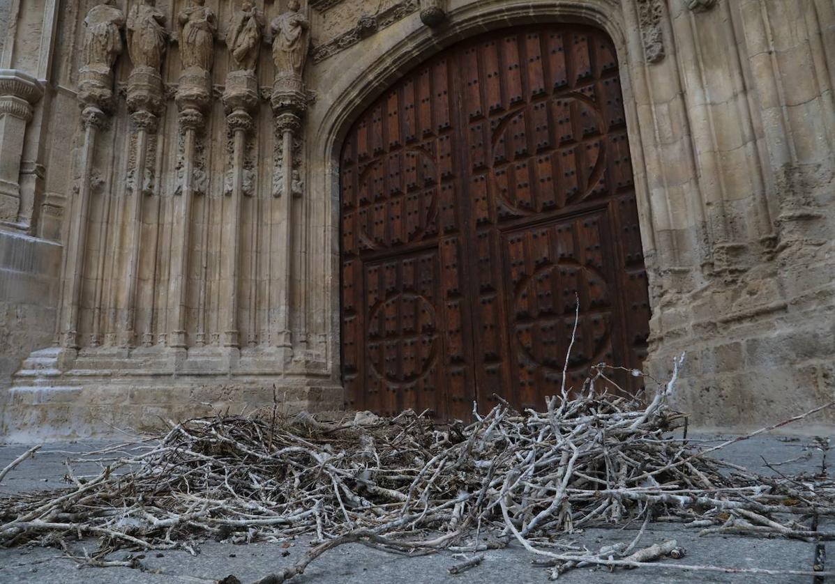 Restos del nido, junto a la Puerta del Obispo de la Catedral de Palencia.