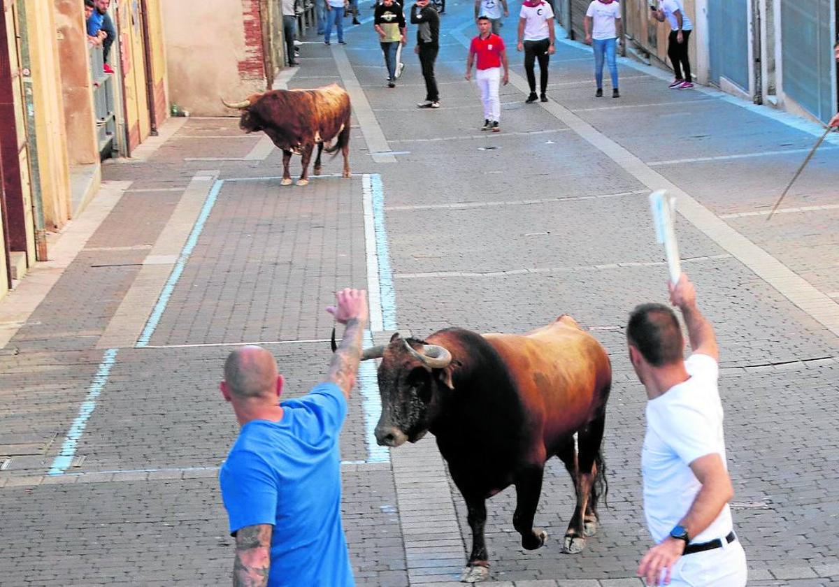 Encierro por las calles de Cuéllar.