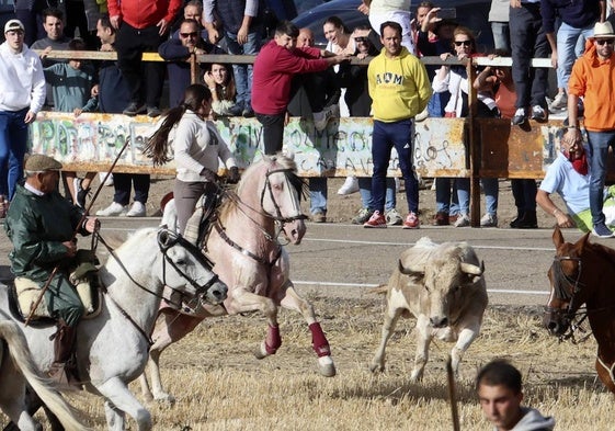 Un toro, arropado por caballistas durante el encierro.