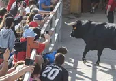 Muere corneado el hermano del torero Ángel Pascual Mezquita