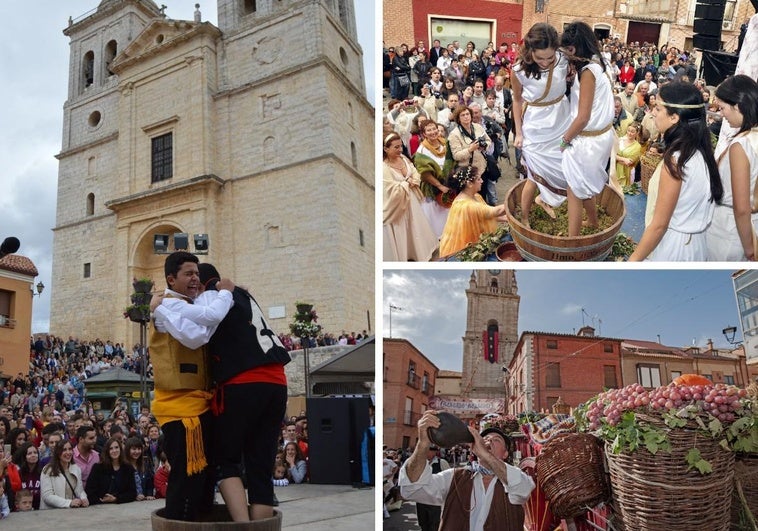 Fiestas de la vendimia de Cigales, Rueda y Toro.