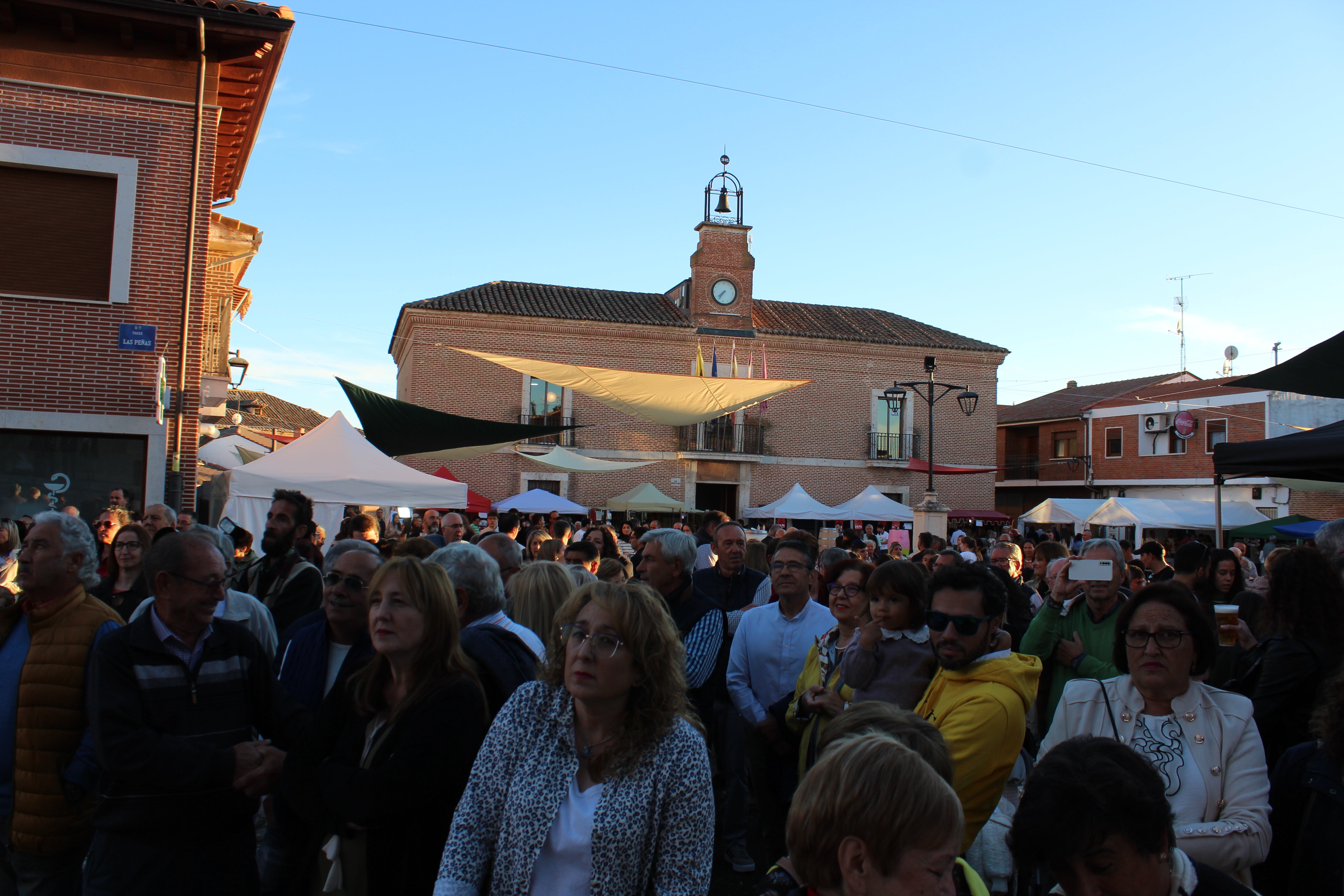 Fiesta de la Vendimia de Serrada, en imágenes