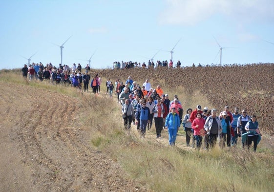 Participantes en la marcha de la Fundación San Cebrián.