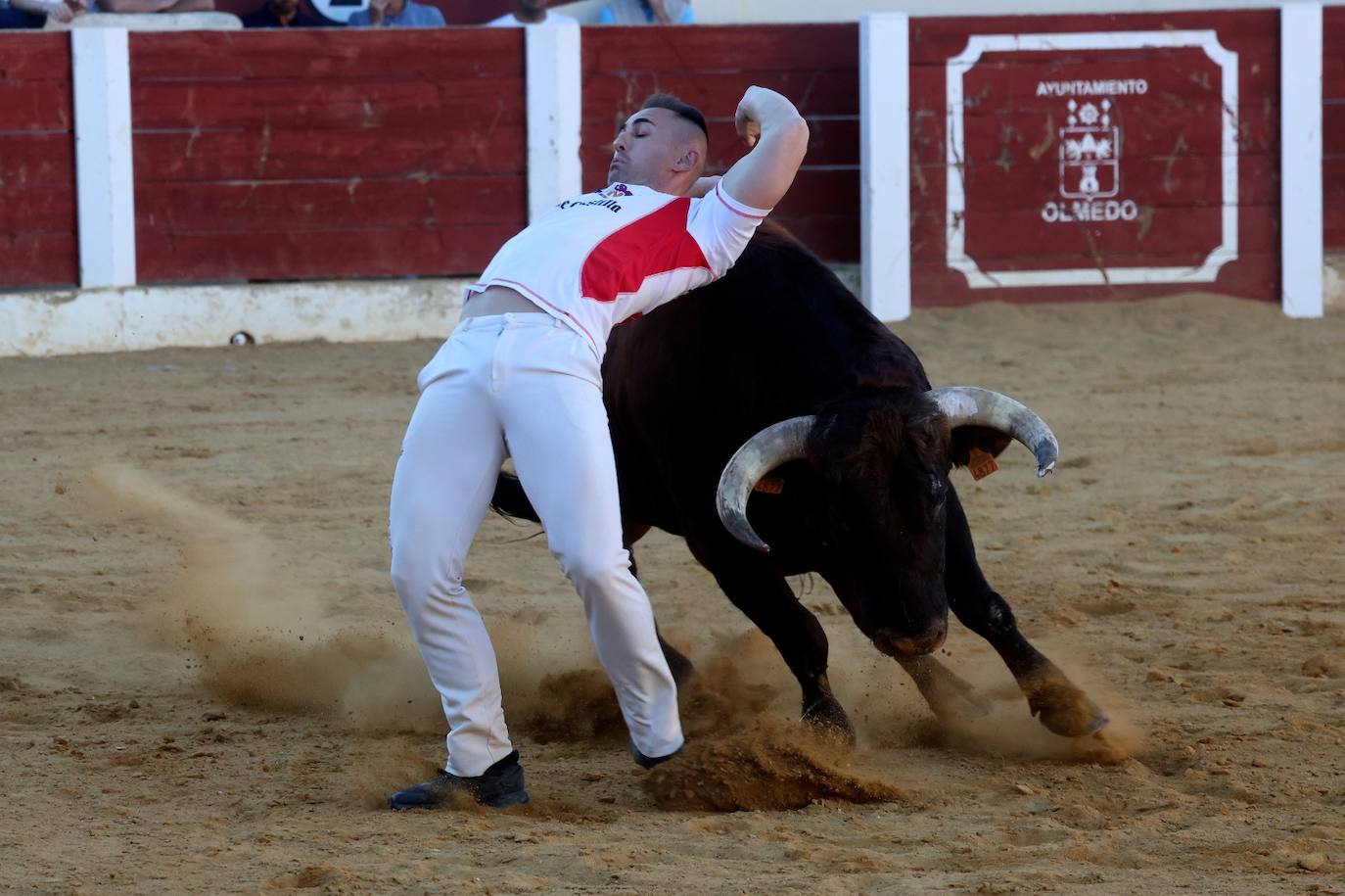 Las fotos más vibrantes del concurso de cortes del Olmedo