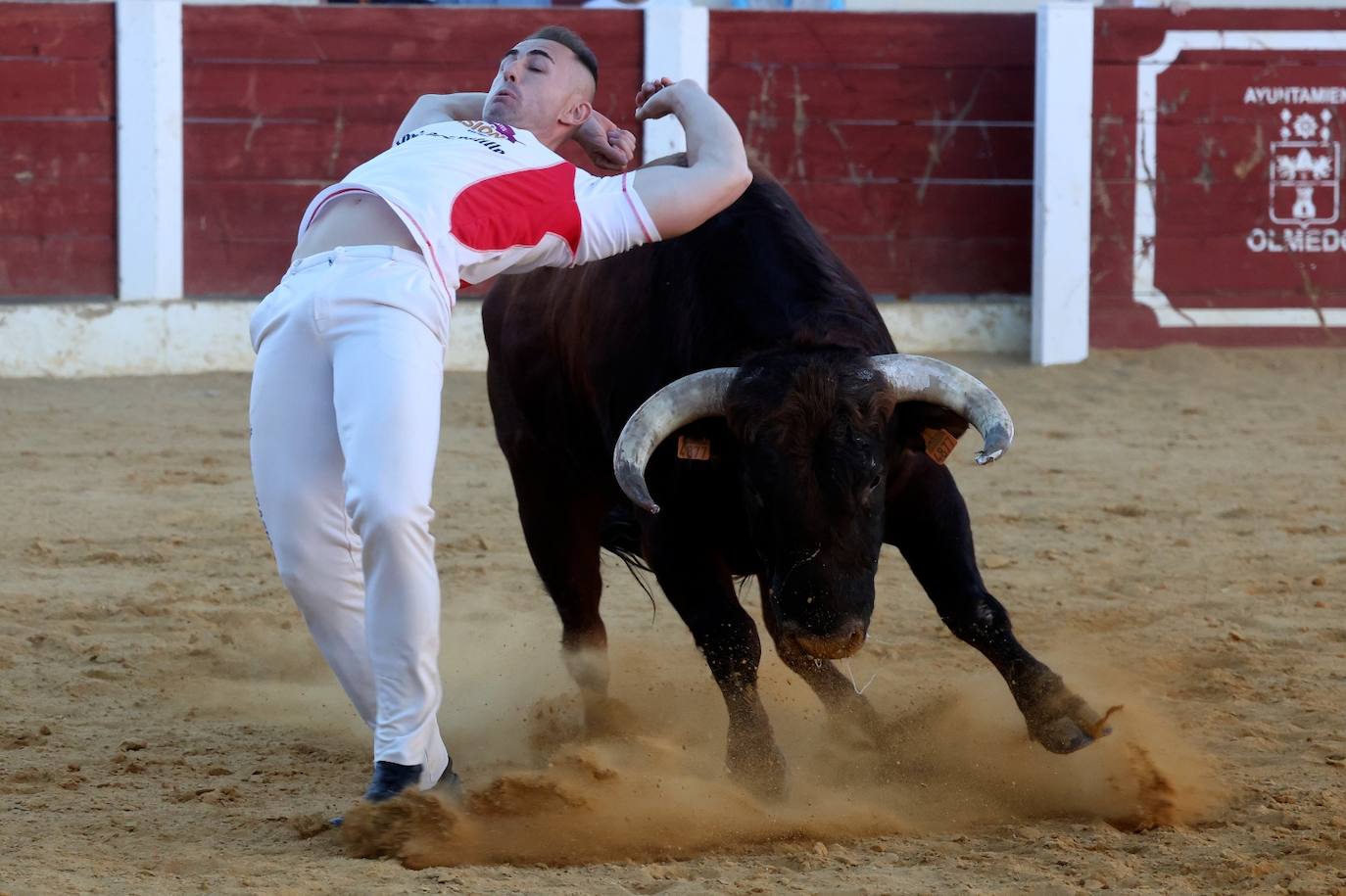 Las fotos más vibrantes del concurso de cortes del Olmedo