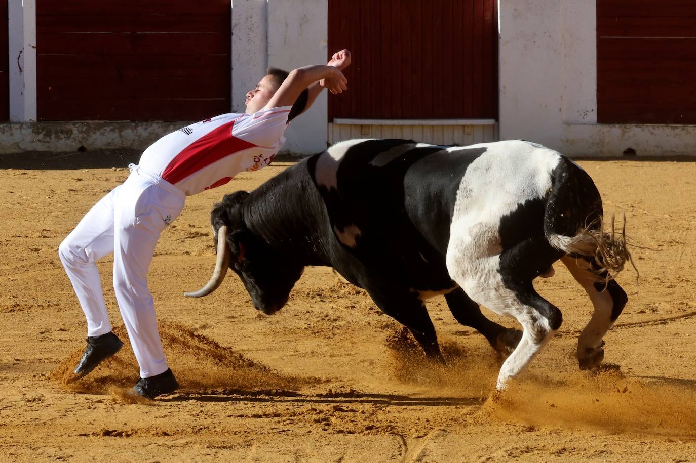 Las fotos más vibrantes del concurso de cortes del Olmedo