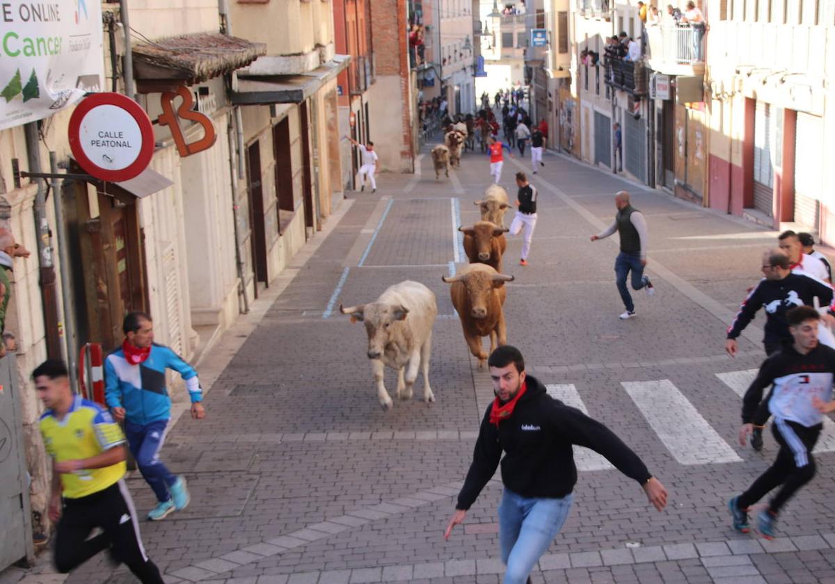 El encierro, a su paso por la calle de las Parras.