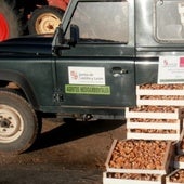 Decomisados 192 kilos de níscalos en Soria durante el fin de semana