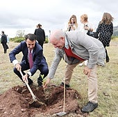 Un bosque de 8.132 árboles, uno por cada municipio de España