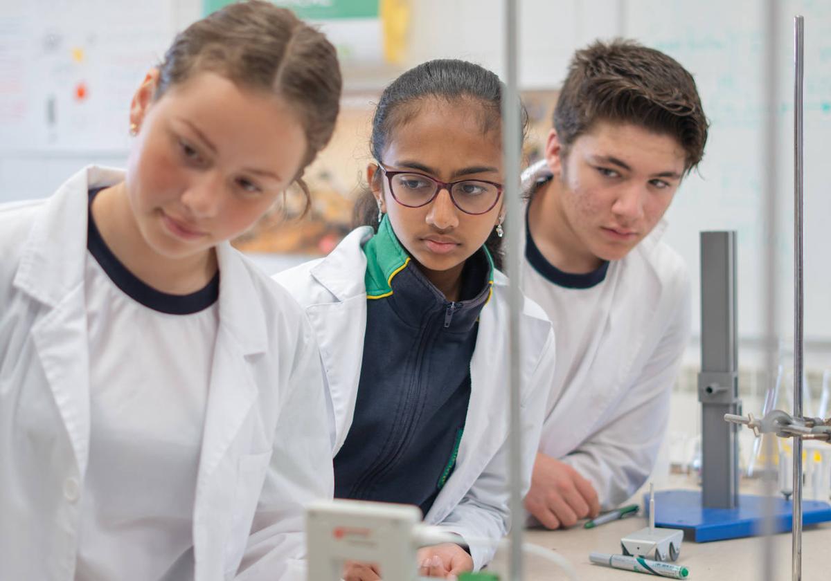 Distintas imágenes de las diferentes etapas educativas en el Colegio Internacional de Valladolid.