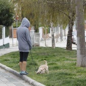 El Ayuntamiento extremará la vigilancia contra los perros sueltos