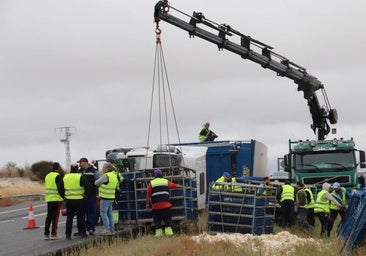 Un herido leve y miles de pollos muertos tras el vuelco de un camión en Cuéllar