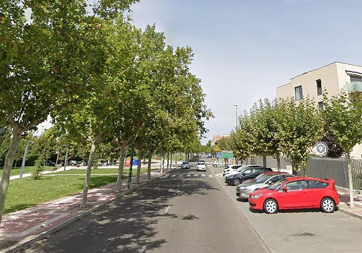 Calle Barcelona de Valladolid, donde se ha producido el suceso.