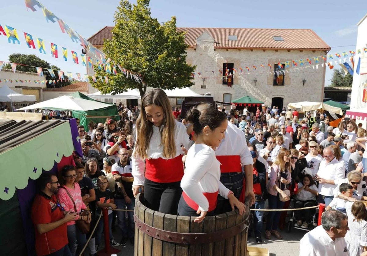 Las zonas vinícolas de Castilla y León celebran la recogida de la uva con decenas de festejos.