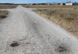 Restos de sangre en el camino rural donde se produjo el ataque del perro.