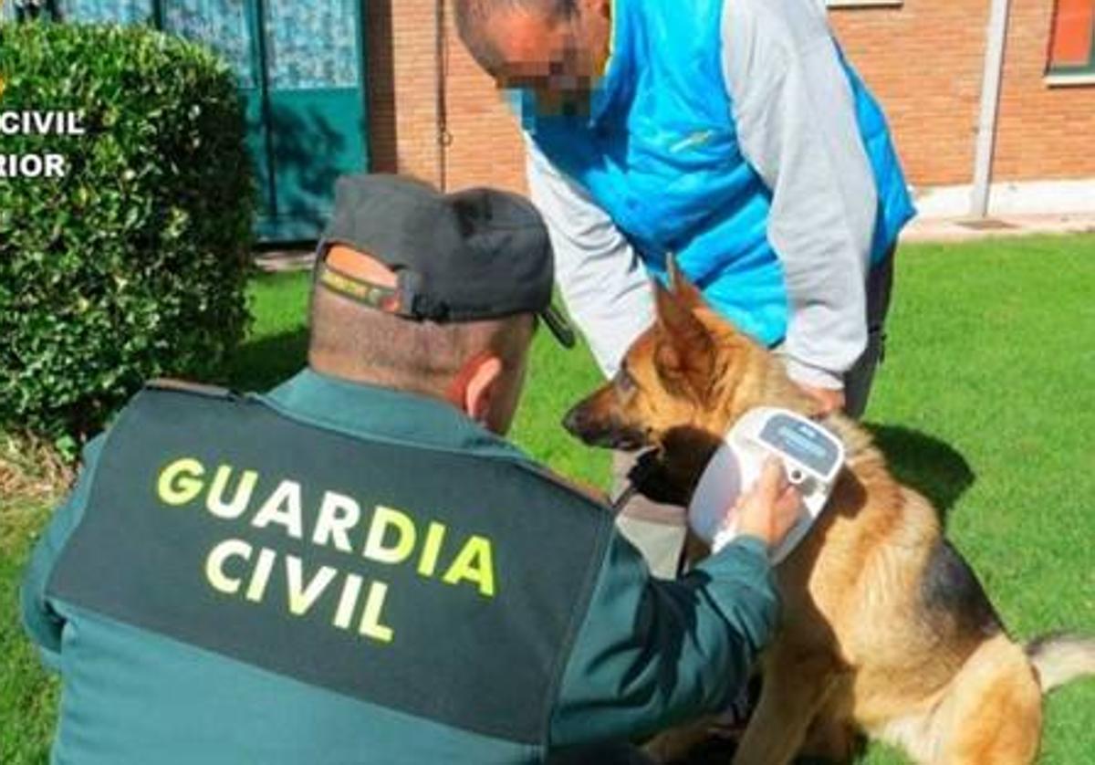 La Guardia Civil formula 38 denuncias en la 'Operación Can' de control de perros