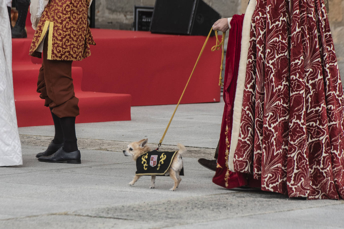 Fotografías del acto de proclamación de Isabel I como reina de Castilla