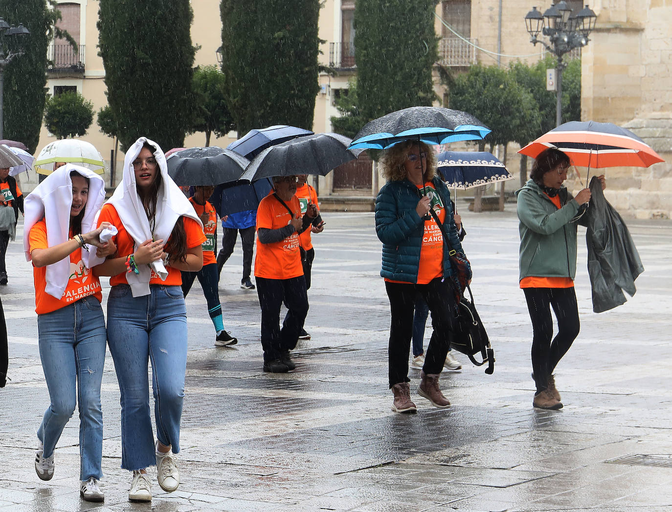 Palencia se vuelca con la Asociación Contra el Cáncer