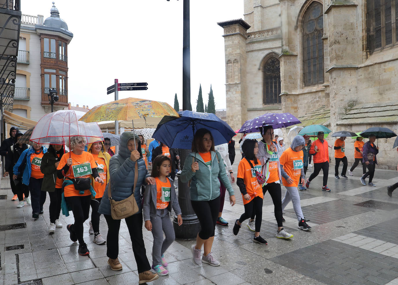 Palencia se vuelca con la Asociación Contra el Cáncer