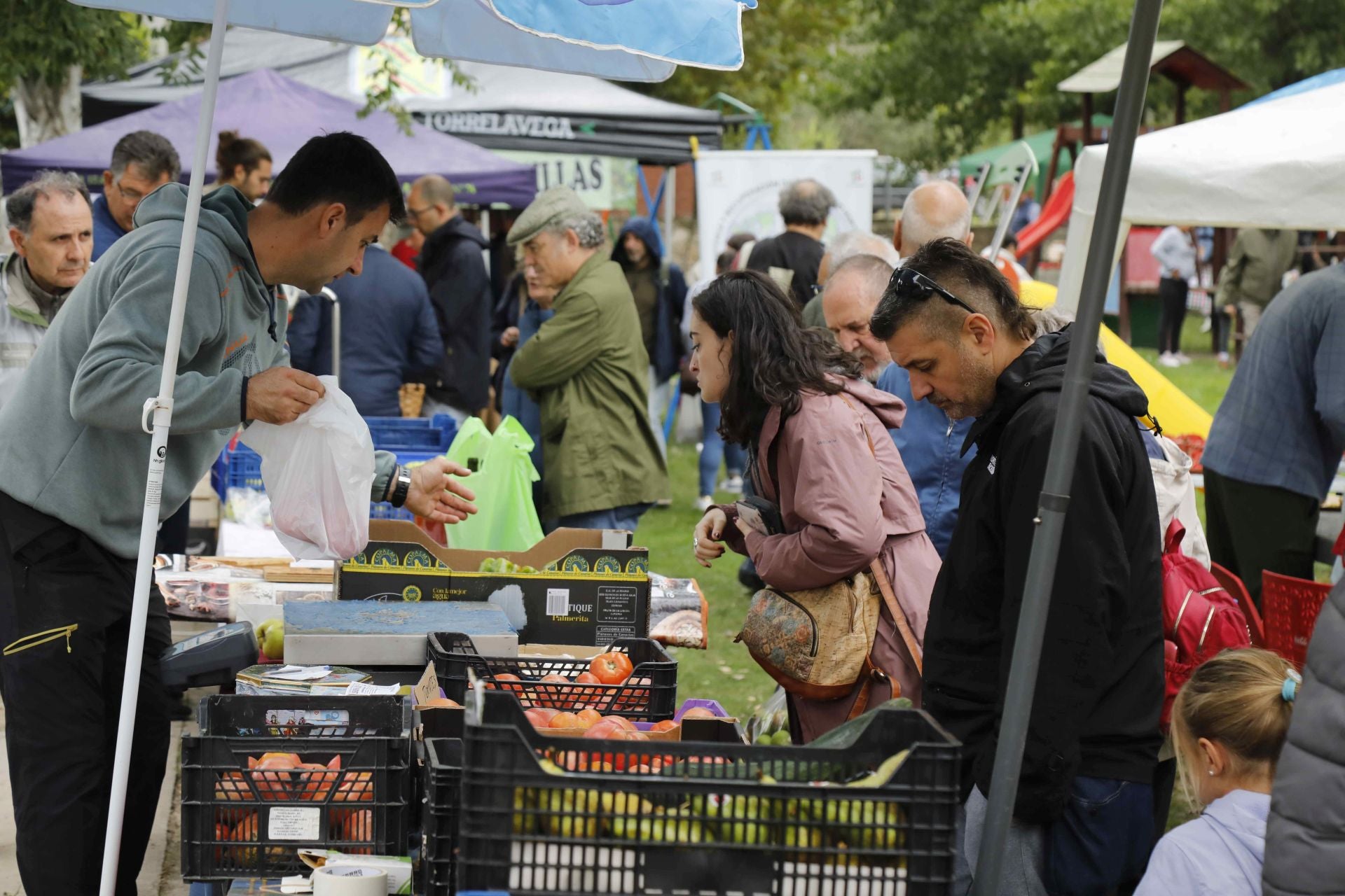 Feria del Tomate en Piñel de Abajo