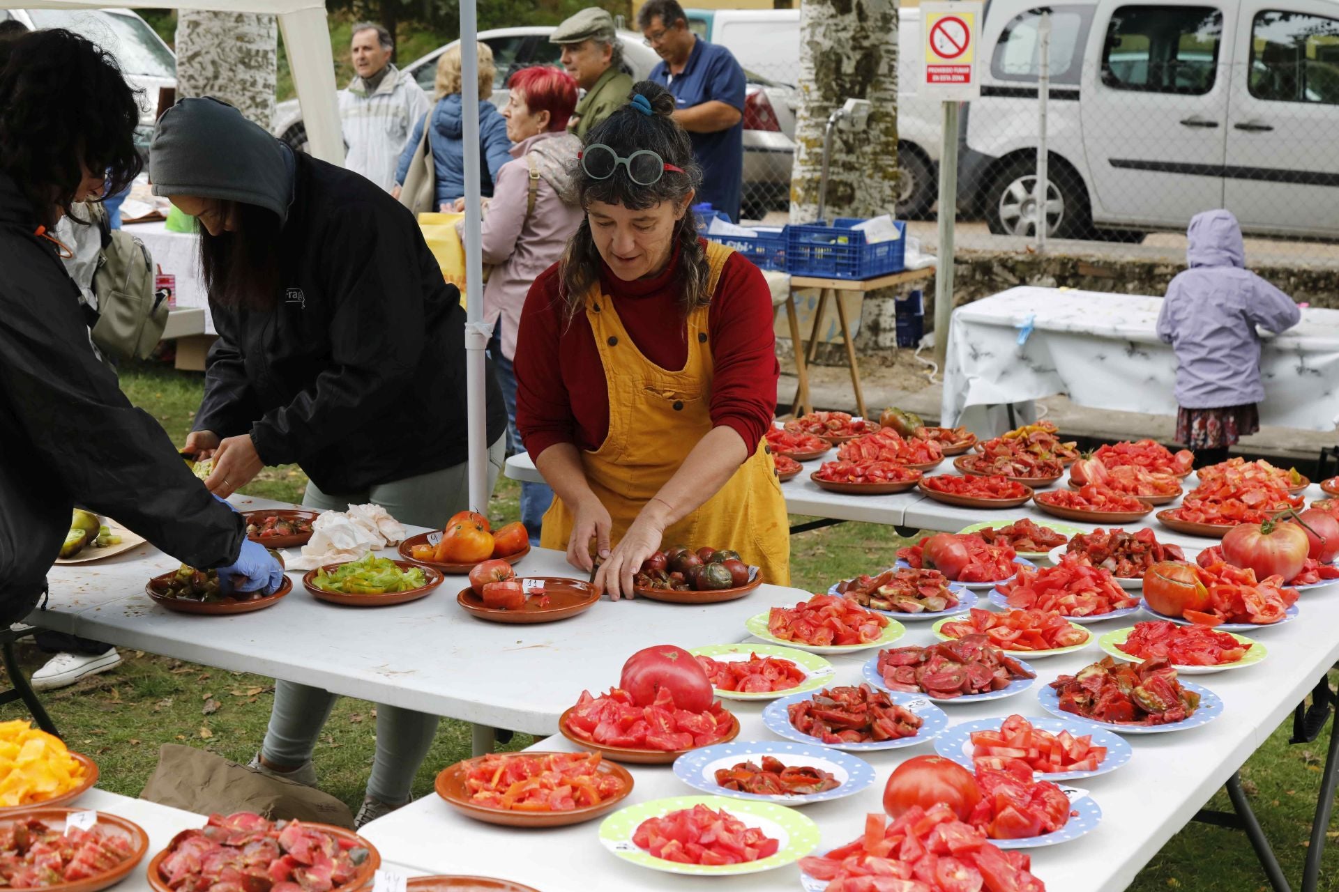 Feria del Tomate en Piñel de Abajo