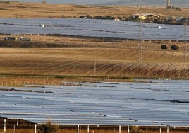 Un parque fotovoltaico en la provincia de Segovia.