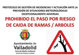 Valladolid activa el protocolo por fuertes vientos: cómo funciona y qué implica