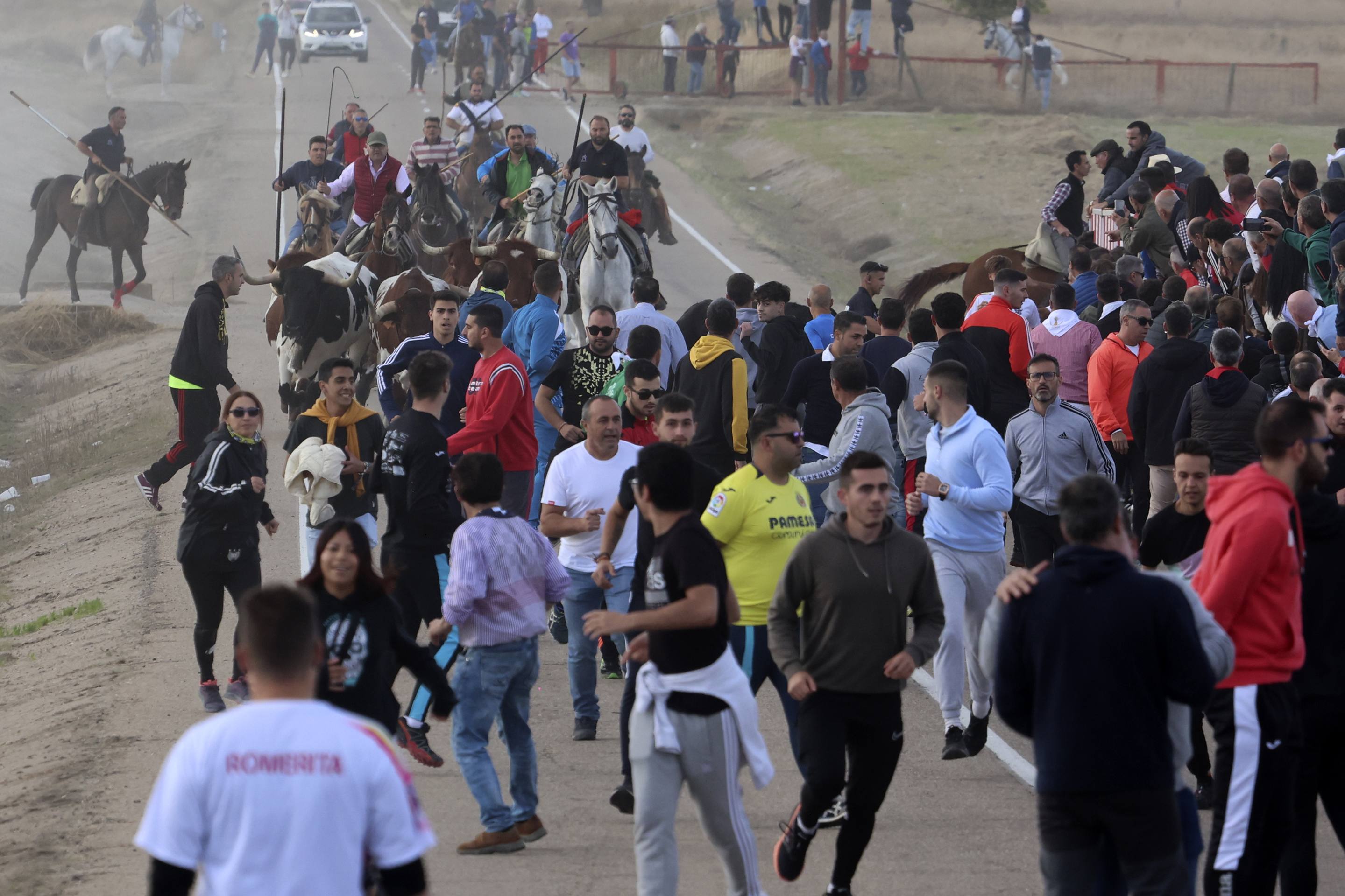 El último encierro en Olmedo, en imágenes