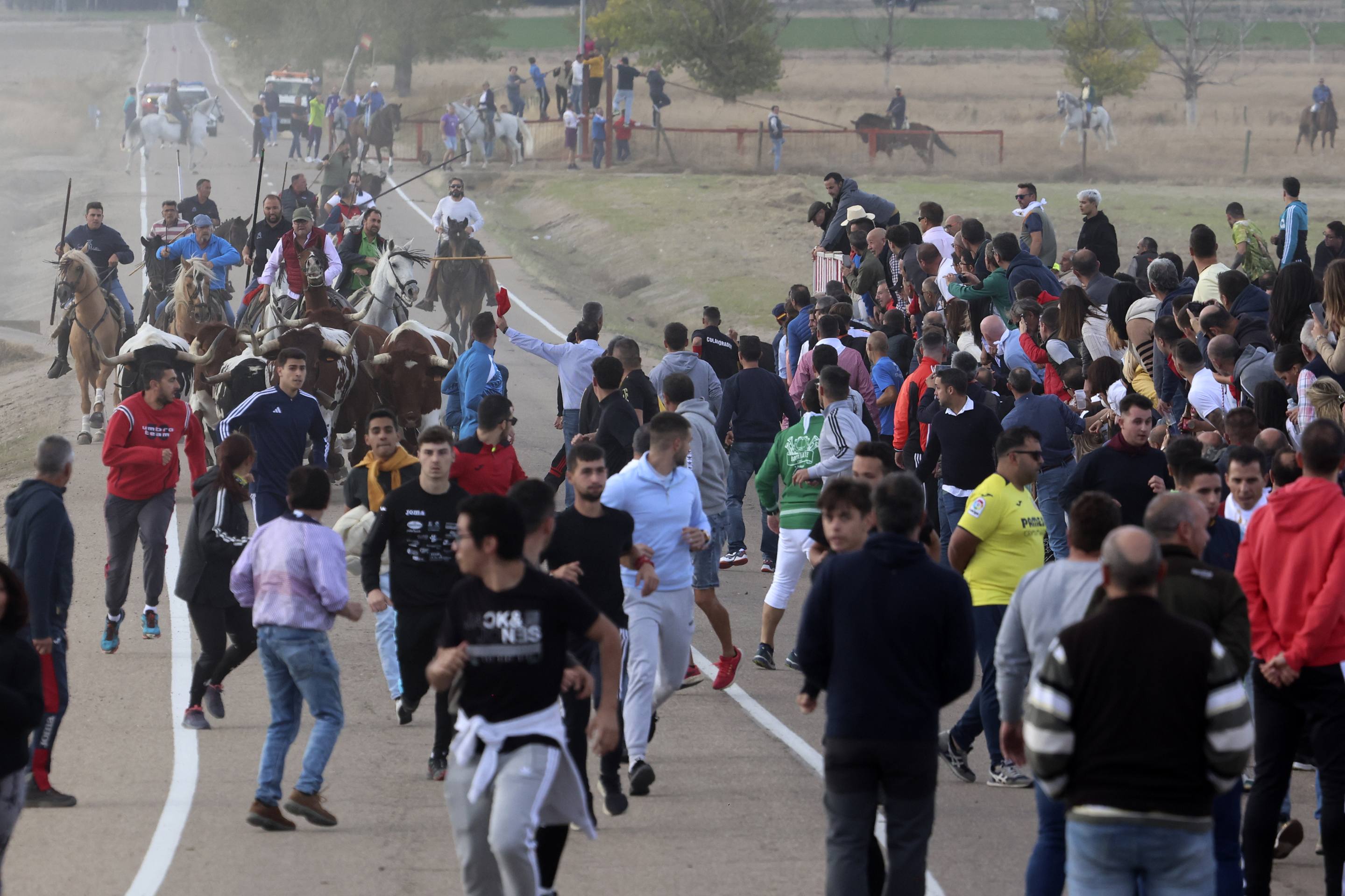 El último encierro en Olmedo, en imágenes