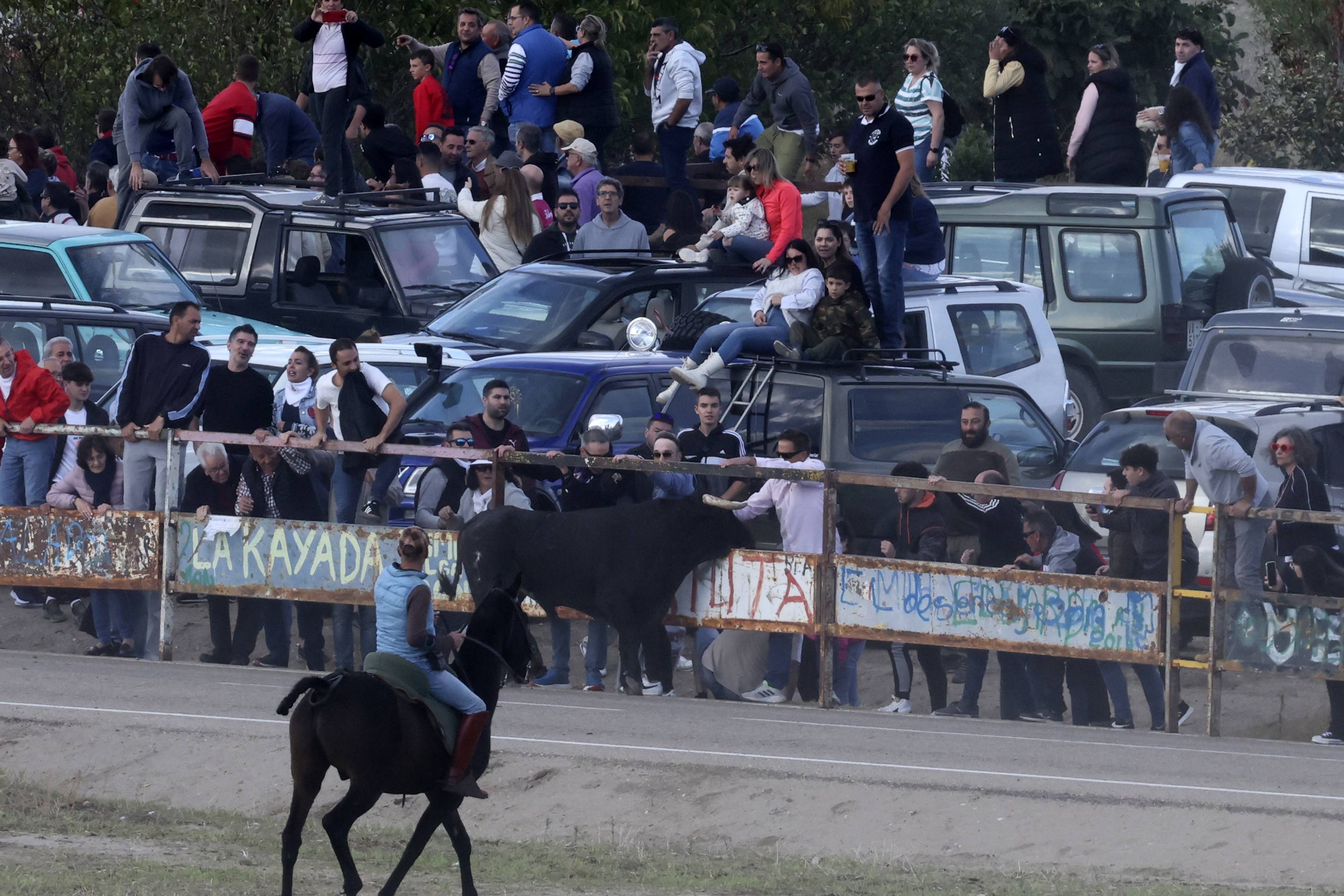 El último encierro en Olmedo, en imágenes