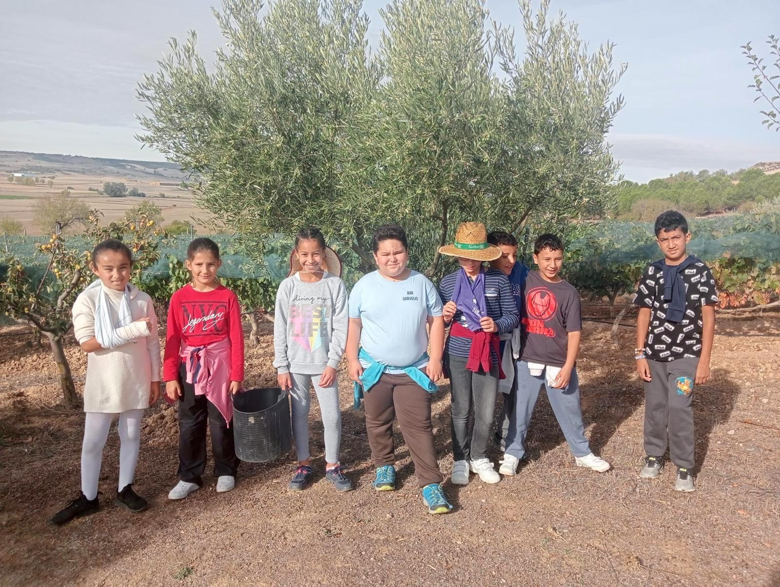 Baltanás acerca la jornada &quot;De Lagares&quot; a los alumnos del Colegio &quot;San Pedro&quot;