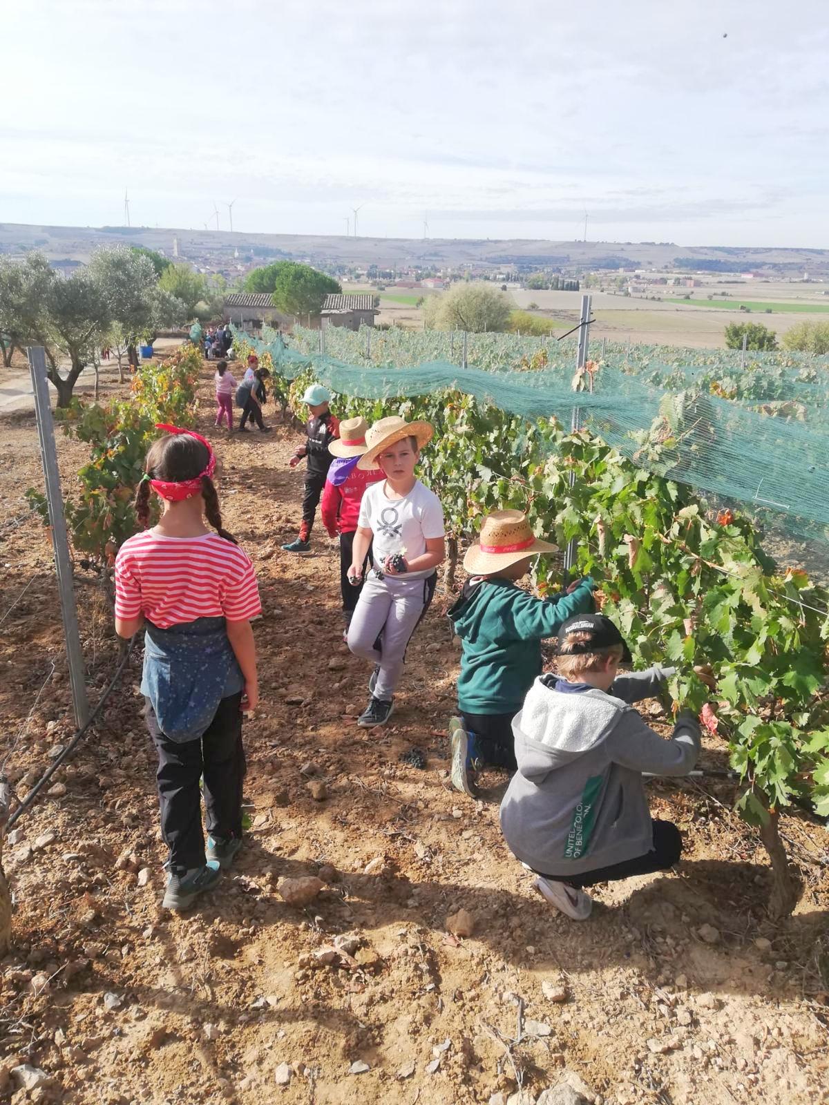 Baltanás acerca la jornada &quot;De Lagares&quot; a los alumnos del Colegio &quot;San Pedro&quot;