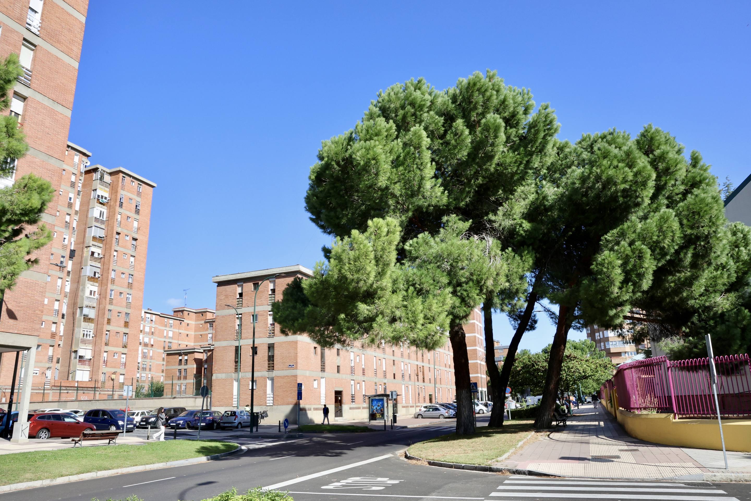 La calle Joaquín Velasco Martín, en imágenes