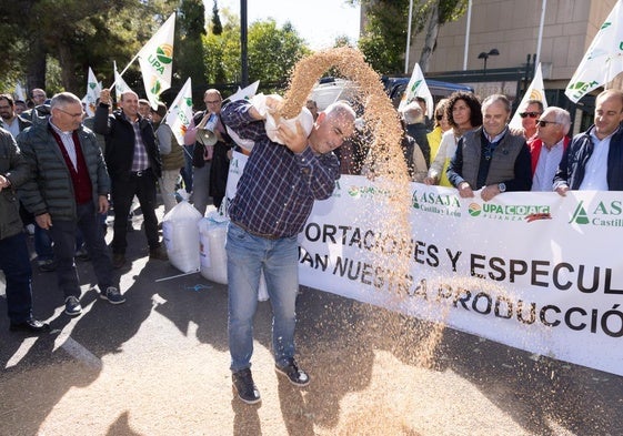 Un agricultor esparce un saco de cereal frente a la Delegación del Gobierno en Valladolid.