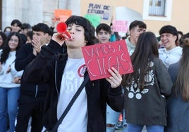 Los manifestantes, en la puerta de la Consejería de Educación de Valladolid.