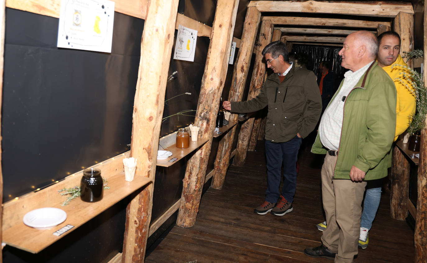 Así ha sido la tercera edición de la Feria de la Miel de Castrejón