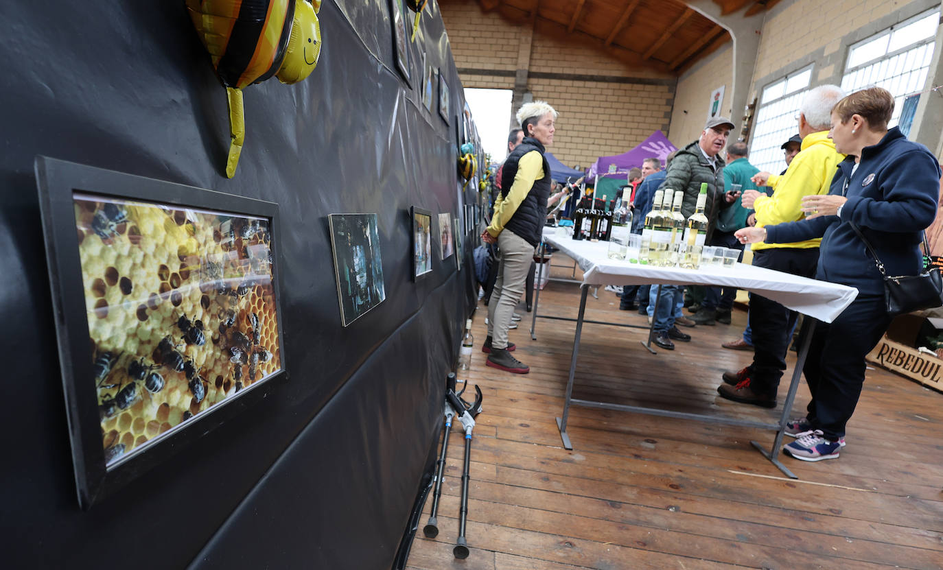 Así ha sido la tercera edición de la Feria de la Miel de Castrejón