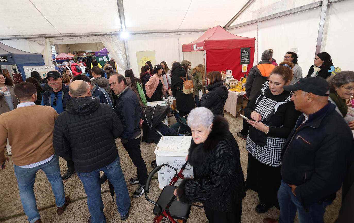 Así ha sido la tercera edición de la Feria de la Miel de Castrejón