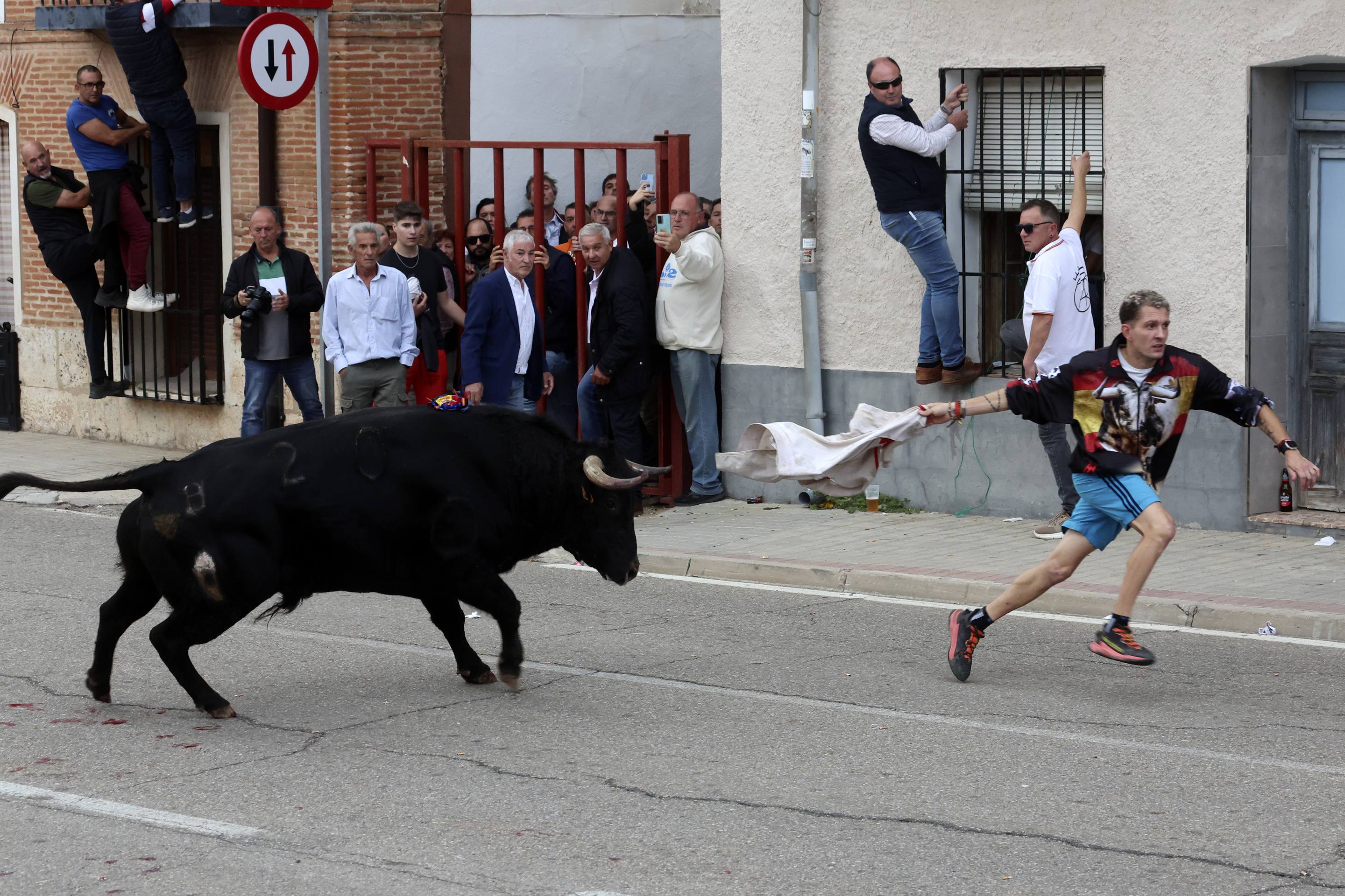 El Toro de la Vendimia de Rueda, en imágenes