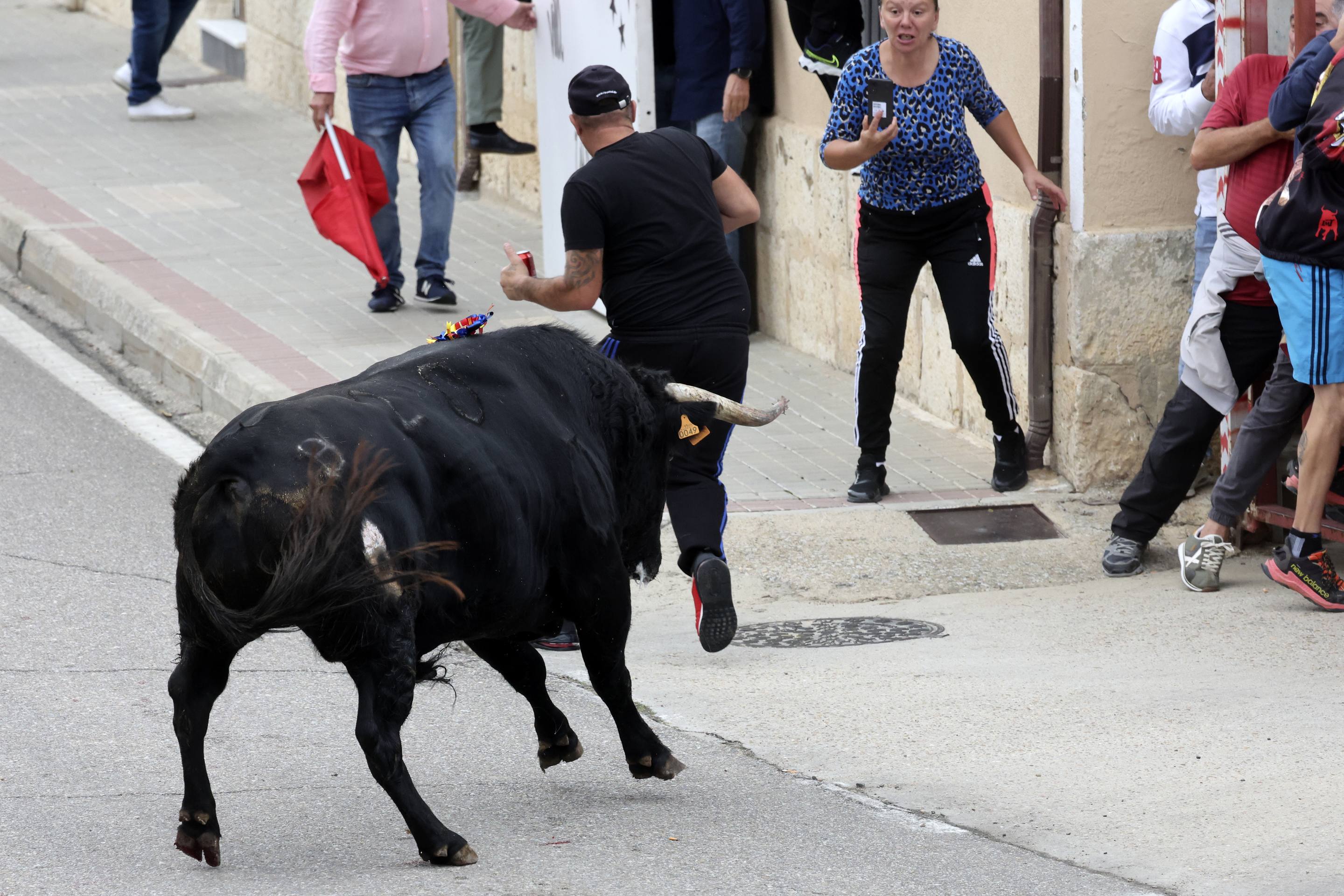 El Toro de la Vendimia de Rueda, en imágenes