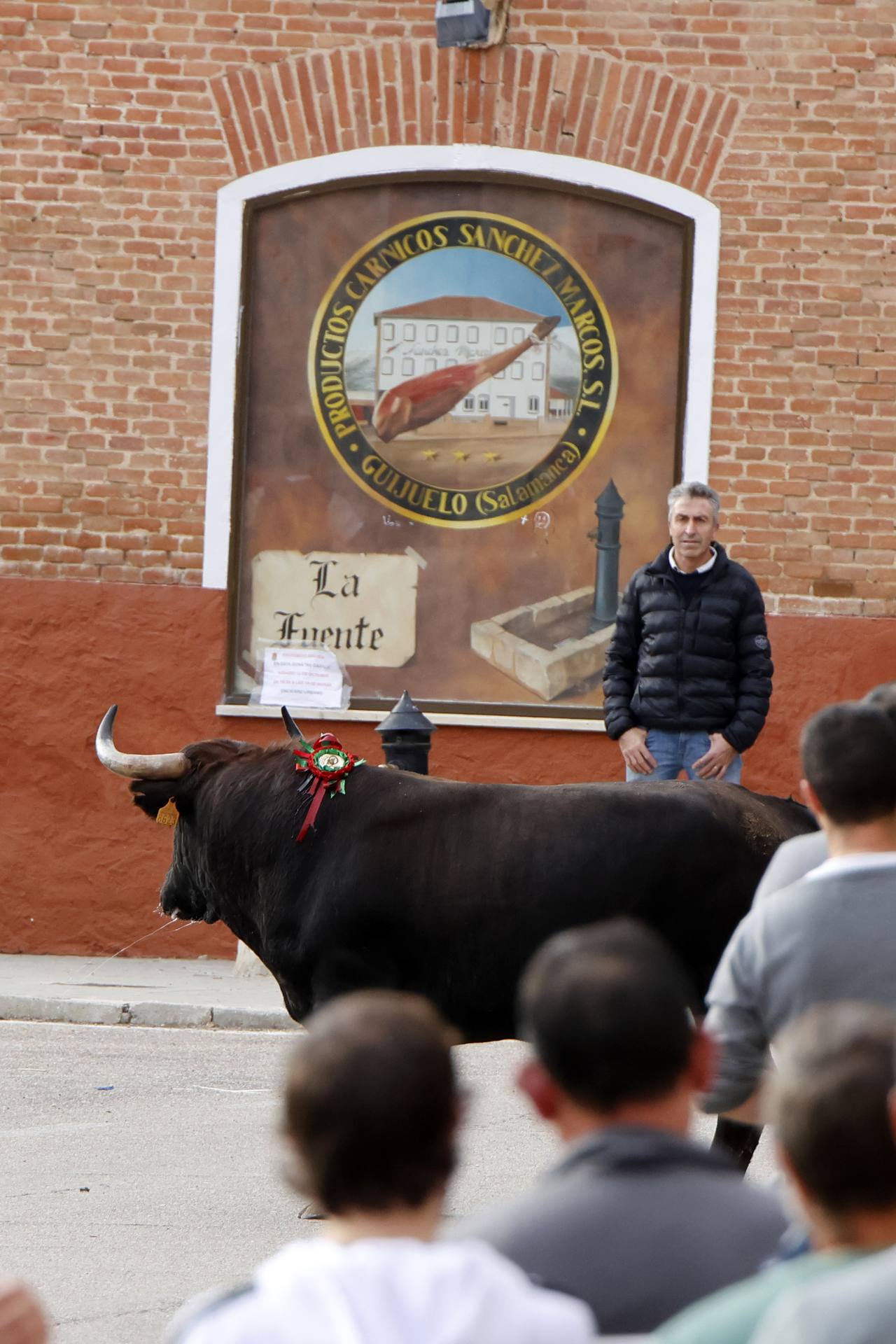 El Toro de la Vendimia de Rueda, en imágenes