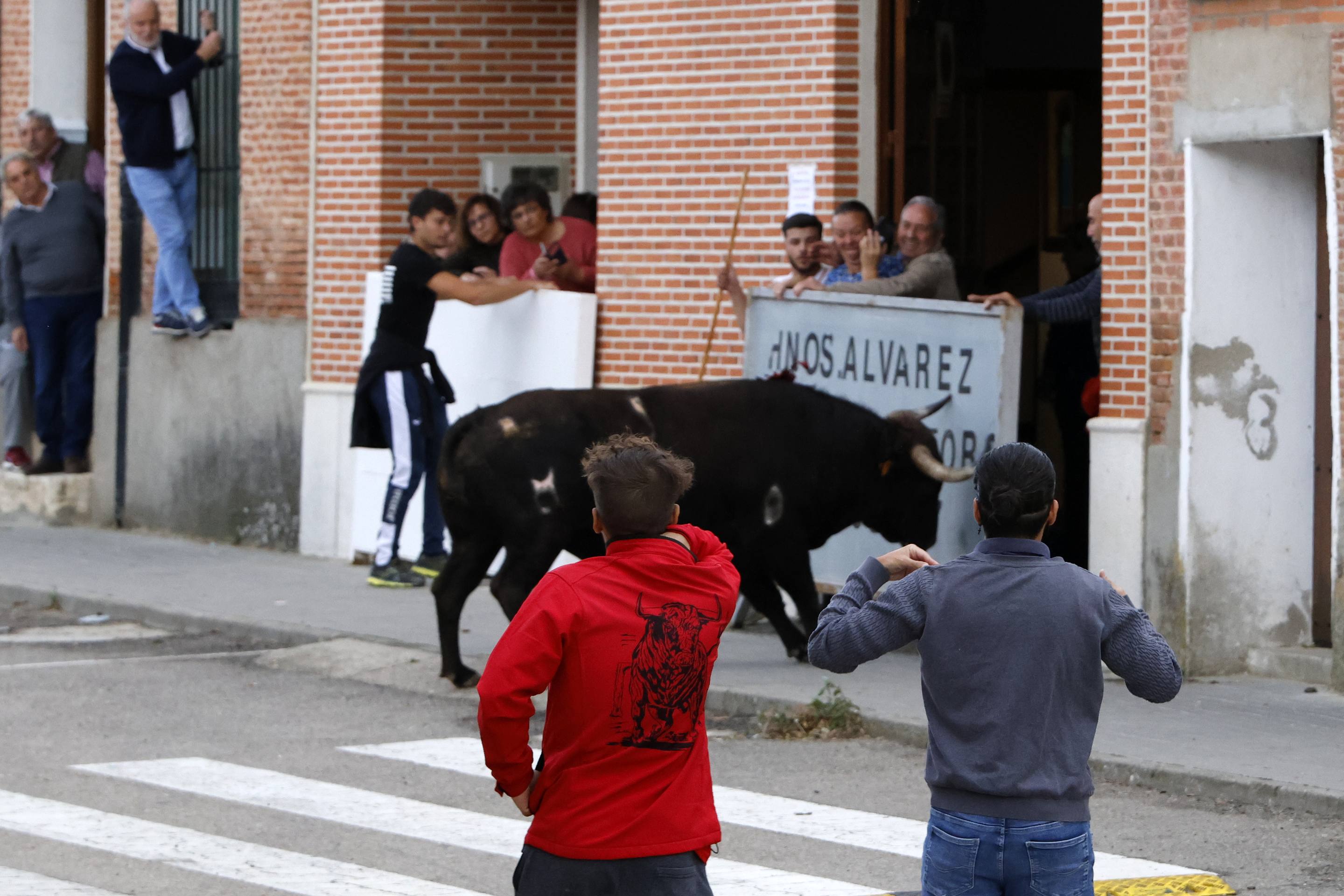 El Toro de la Vendimia de Rueda, en imágenes