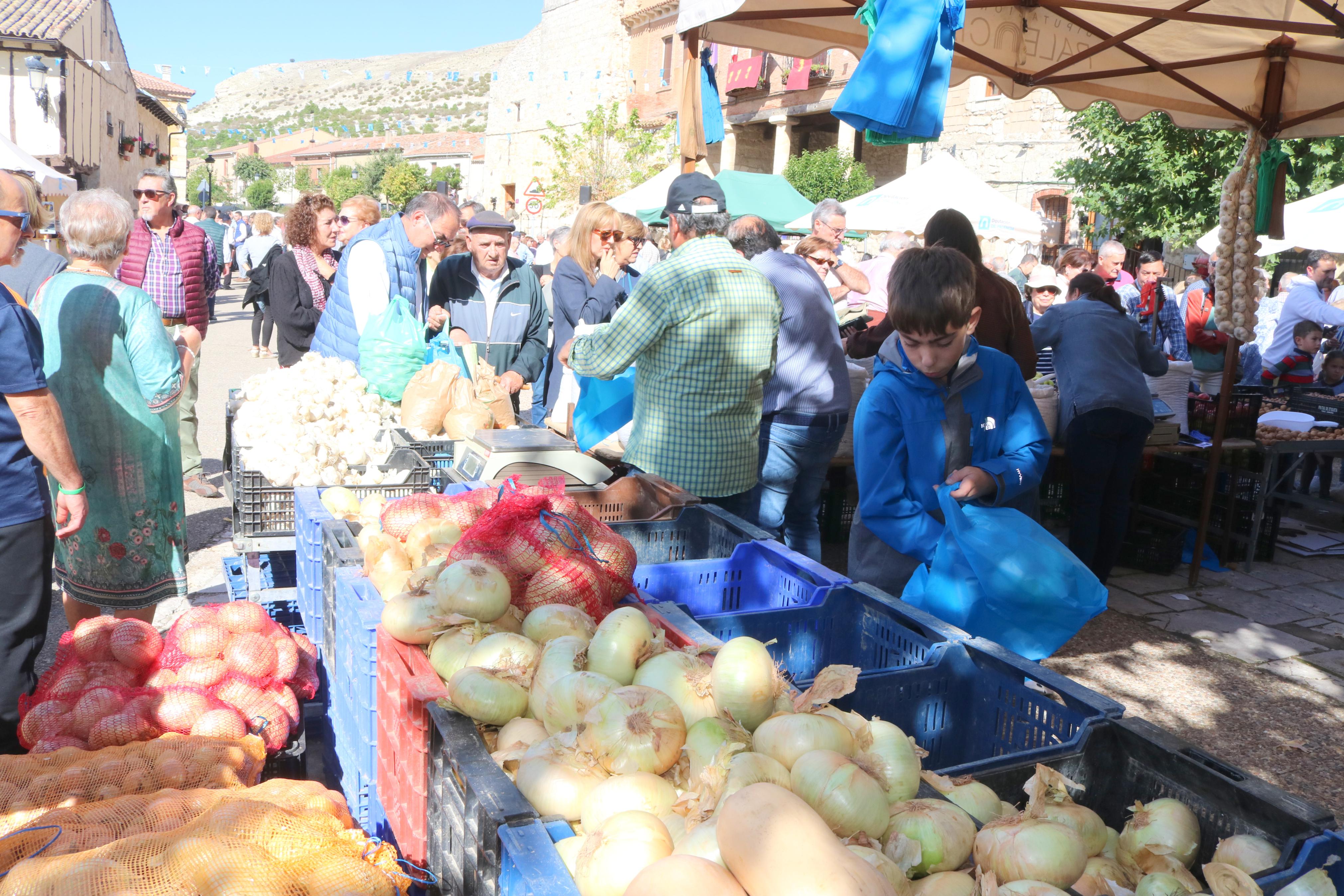 XIX Feria de la Cebolla Horcal en Palenzuela