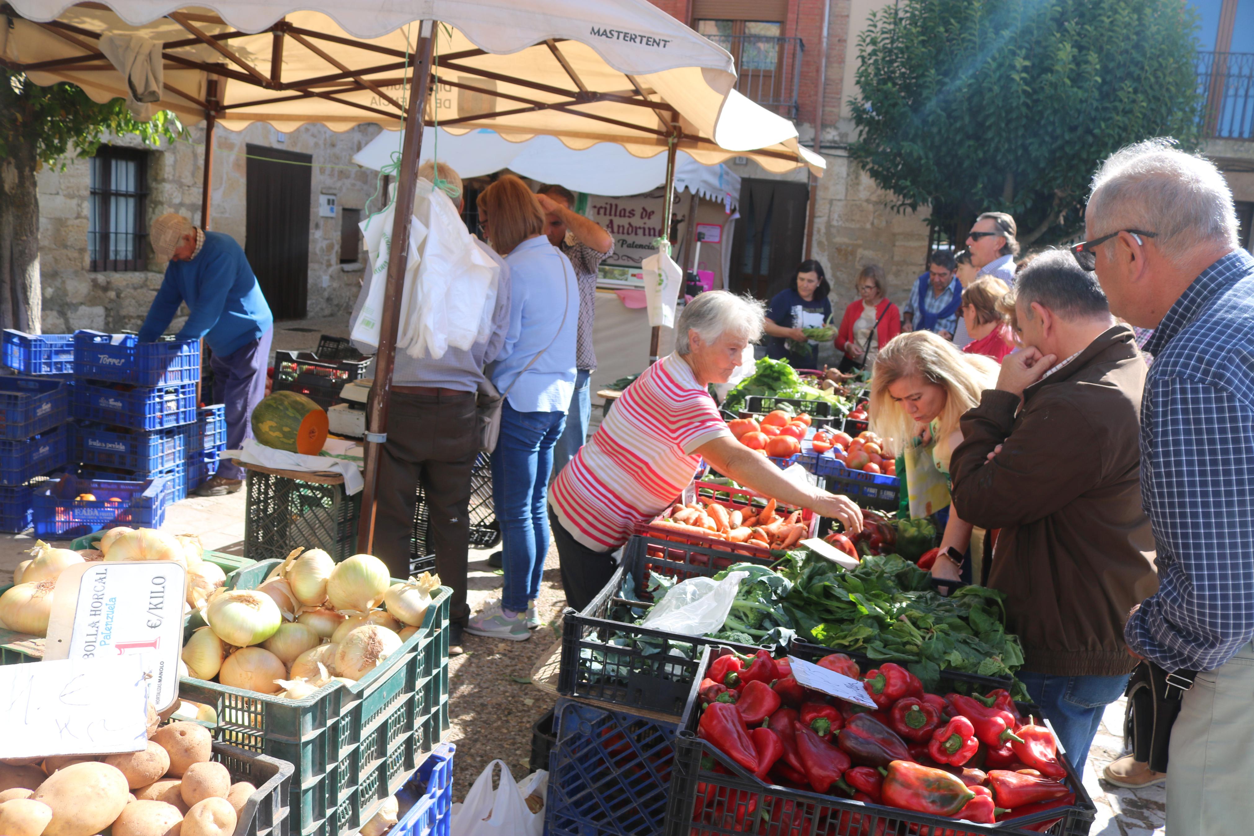 XIX Feria de la Cebolla Horcal en Palenzuela