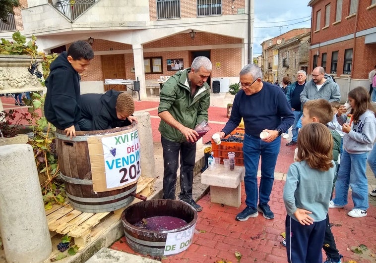 Castrillo de Don Juan celebra la Fiesta de la Vendimia